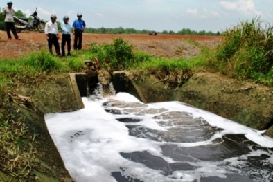 Vi phạm bảo vệ môi trường phạt 2 tỷ đồng